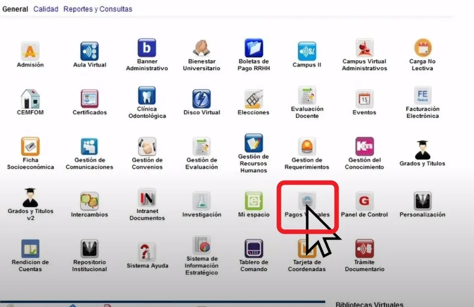 Pago de Expedición del Carnet
